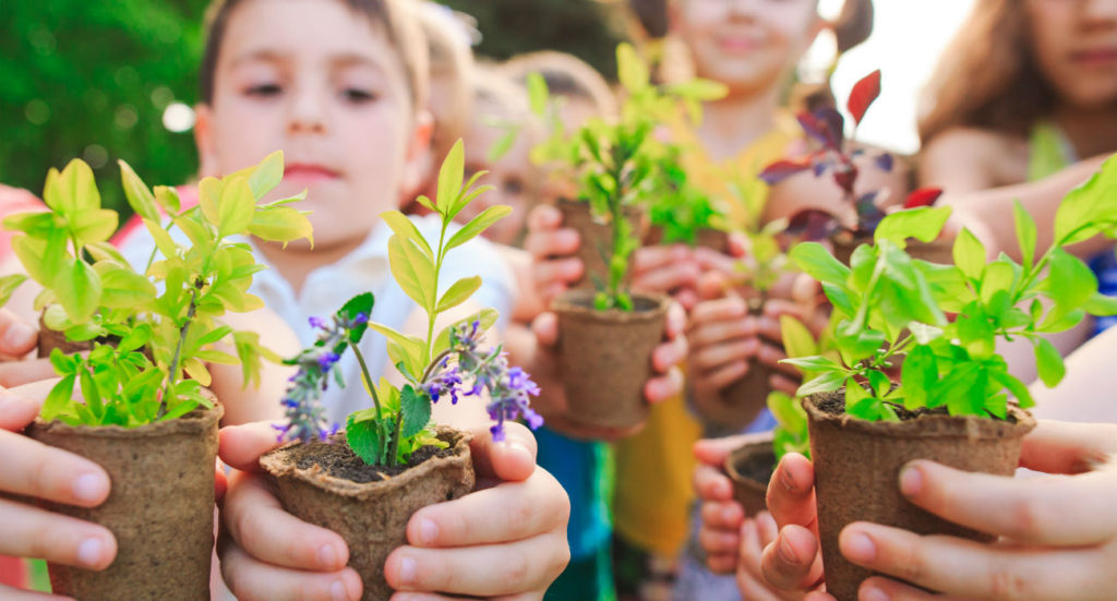 Best Classroom Greenhouses Review The Moneywise Teacher