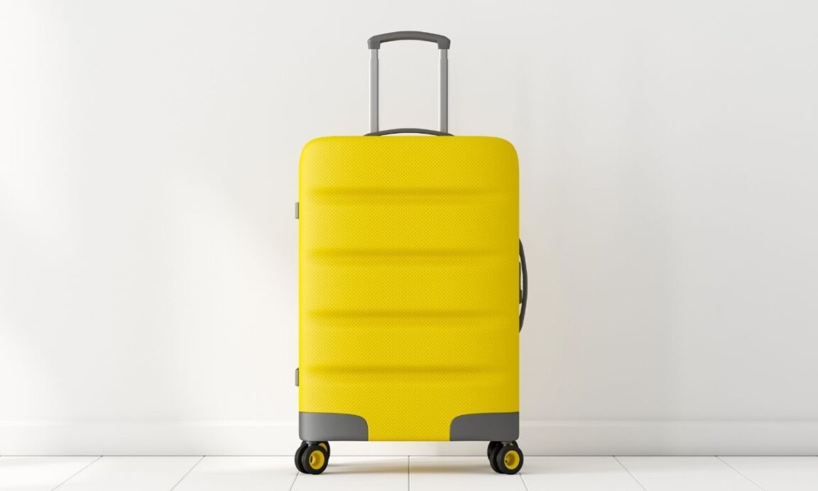 5 of the Best Teacher Bags on Wheels! The Moneywise Teacher