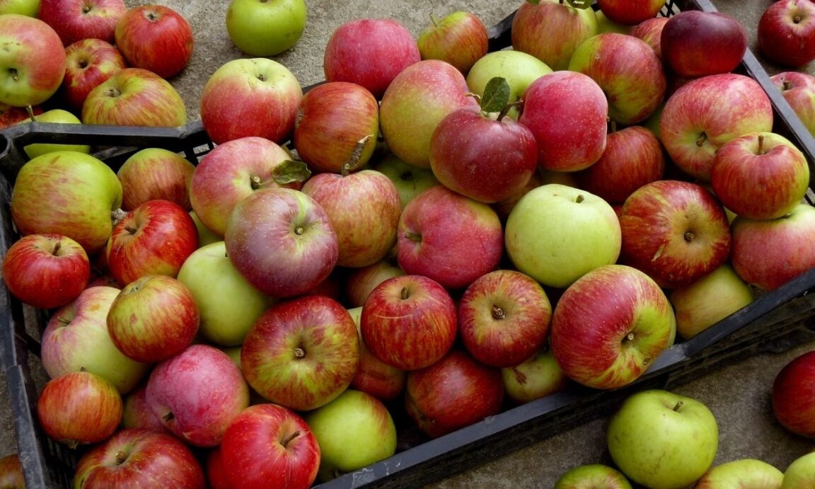 Why Do Teachers Get Apples? The Moneywise Teacher